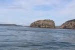 resIMG_20170710_122428_8208.JPG